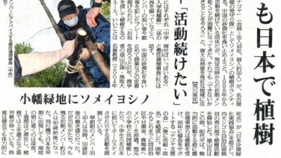 緑の見守り隊活動と当会の歴史が毎日新聞に掲載されました。